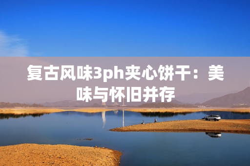 复古风味3ph夹心饼干：美味与怀旧并存