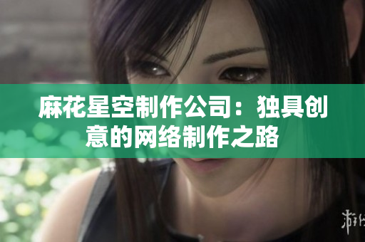 麻花星空制作公司：独具创意的网络制作之路