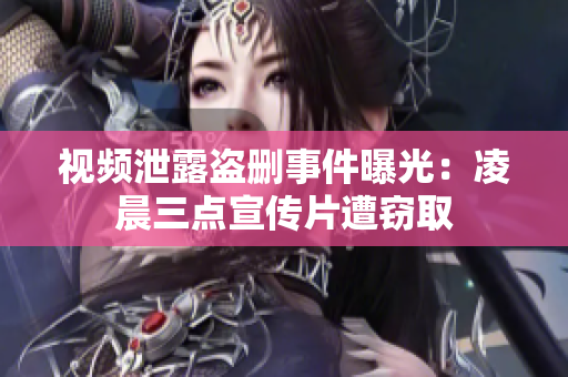 视频泄露盗删事件曝光：凌晨三点宣传片遭窃取