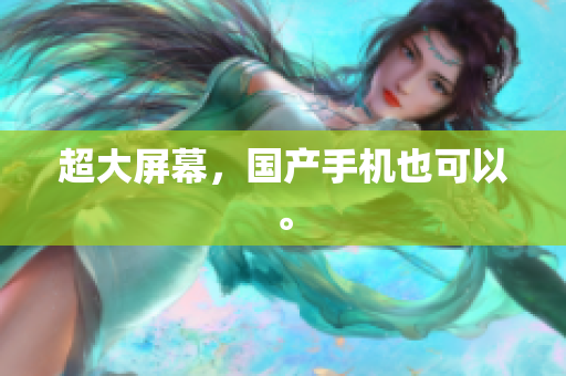 超大屏幕，国产手机也可以。