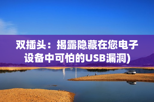 双插头：揭露隐藏在您电子设备中可怕的USB漏洞)