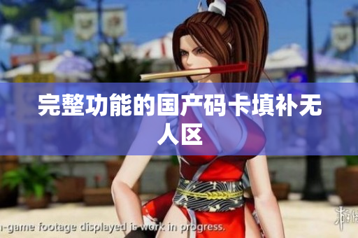 完整功能的国产码卡填补无人区