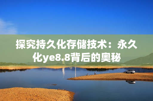探究持久化存储技术：永久化ye8.8背后的奥秘