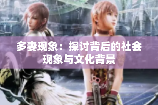 多妻现象：探讨背后的社会现象与文化背景