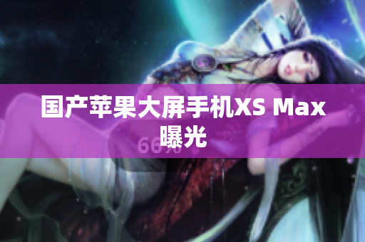 国产苹果大屏手机XS Max曝光