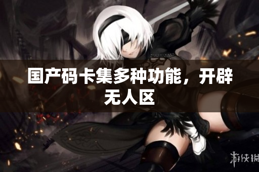 国产码卡集多种功能，开辟无人区