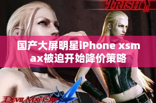 国产大屏明星iPhone xsmax被迫开始降价策略