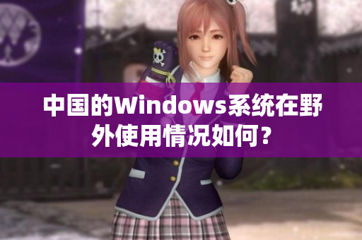 中国的Windows系统在野外使用情况如何？