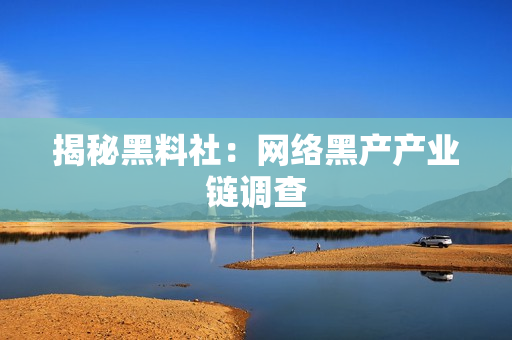 揭秘黑料社：网络黑产产业链调查