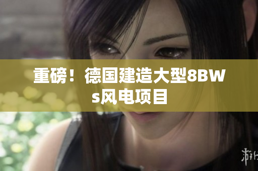 重磅！德国建造大型8BWs风电项目