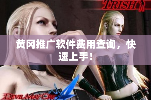 黄冈推广软件费用查询，快速上手！