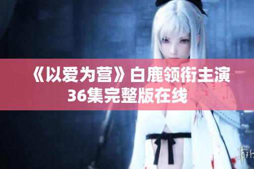 《以爱为营》白鹿领衔主演36集完整版在线