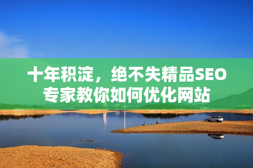 十年积淀，绝不失精品SEO专家教你如何优化网站
