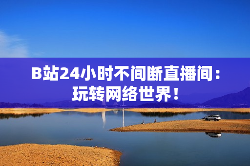 B站24小时不间断直播间：玩转网络世界！