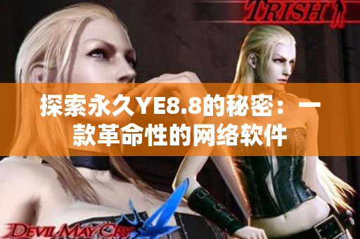 探索永久YE8.8的秘密：一款革命性的网络软件