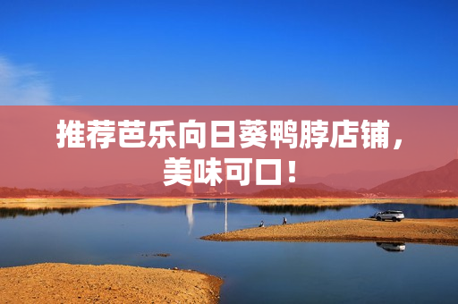推荐芭乐向日葵鸭脖店铺，美味可口！