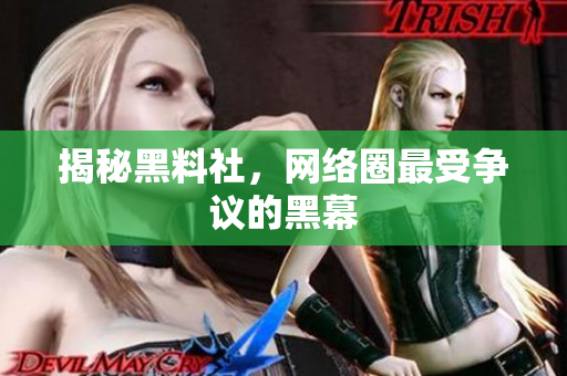 揭秘黑料社，网络圈最受争议的黑幕