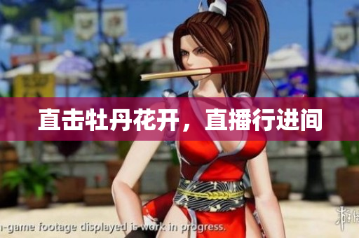 直击牡丹花开，直播行进间
