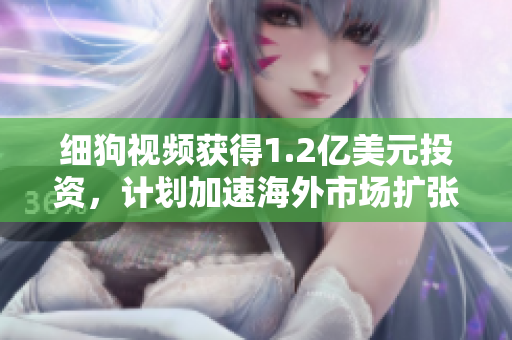 细狗视频获得1.2亿美元投资，计划加速海外市场扩张