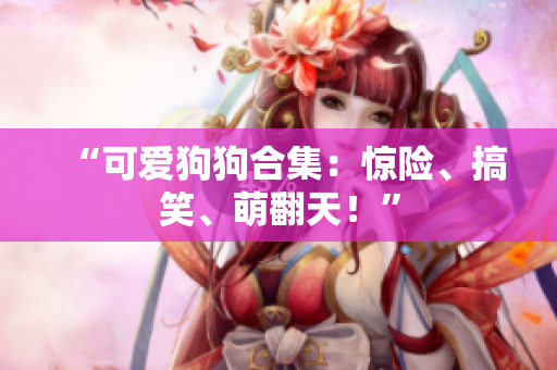 “可爱狗狗合集：惊险、搞笑、萌翻天！”