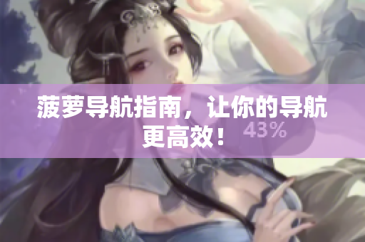 菠萝导航指南，让你的导航更高效！