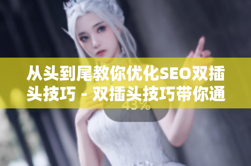 从头到尾教你优化SEO双插头技巧 - 双插头技巧带你通透SEO