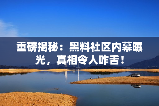 重磅揭秘：黑料社区内幕曝光，真相令人咋舌！
