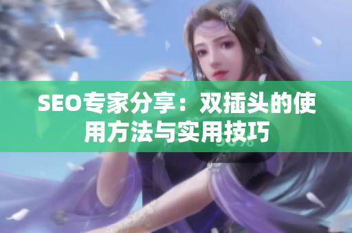 SEO专家分享：双插头的使用方法与实用技巧
