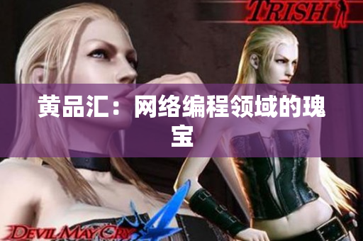 黄品汇：网络编程领域的瑰宝