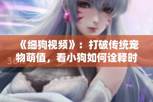 《细狗视频》：打破传统宠物萌值，看小狗如何诠释时尚文化