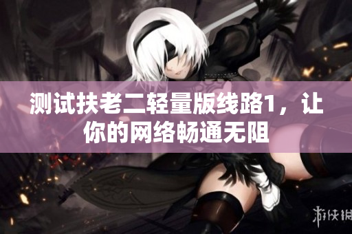 测试扶老二轻量版线路1，让你的网络畅通无阻