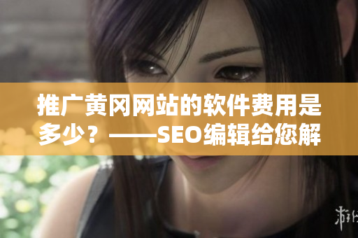 推广黄冈网站的软件费用是多少？——SEO编辑给您解答
