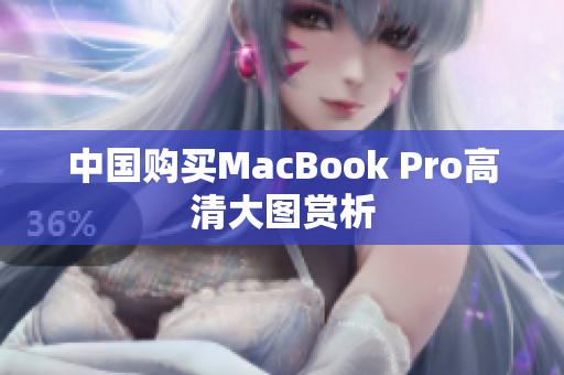 中国购买MacBook Pro高清大图赏析