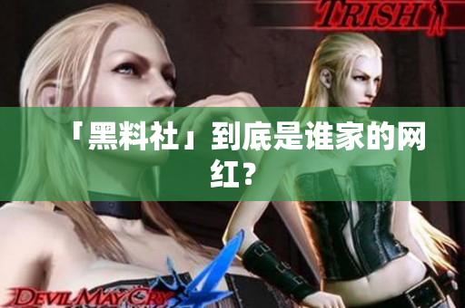 「黑料社」到底是谁家的网红？