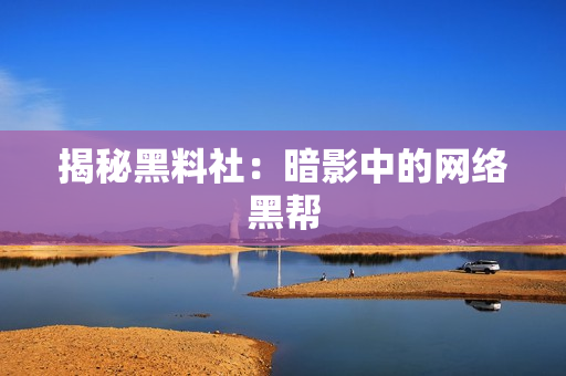 揭秘黑料社：暗影中的网络黑帮