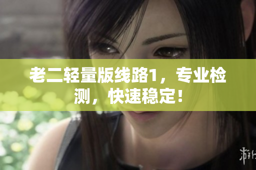老二轻量版线路1，专业检测，快速稳定！