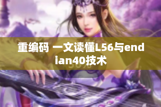 重编码 一文读懂L56与endian40技术