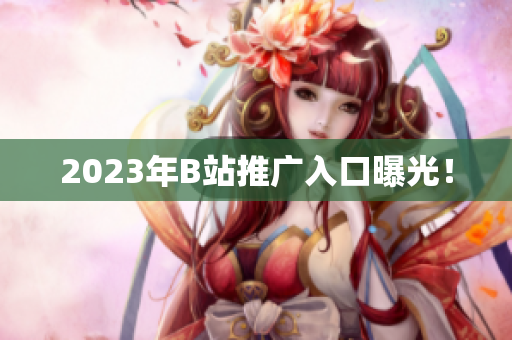 2023年B站推广入口曝光！