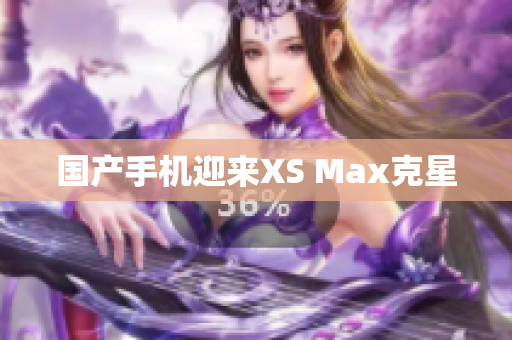 国产手机迎来XS Max克星