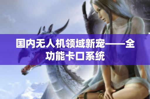 国内无人机领域新宠——全功能卡口系统