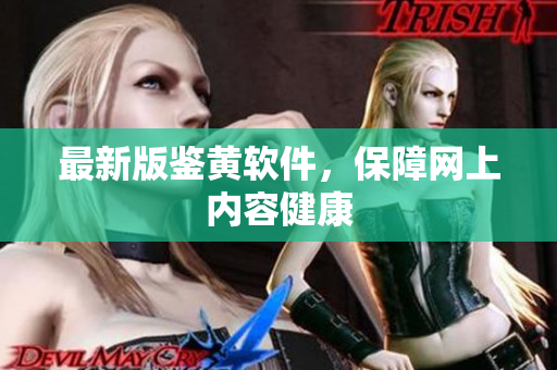 最新版鉴黄软件，保障网上内容健康