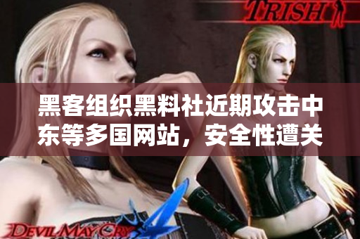 黑客组织黑料社近期攻击中东等多国网站，安全性遭关注