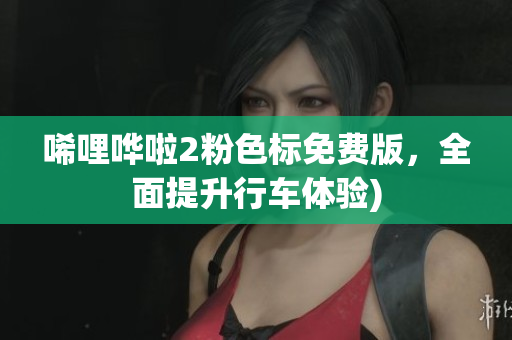 唏哩哗啦2粉色标免费版，全面提升行车体验)