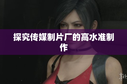 探究传媒制片厂的高水准制作