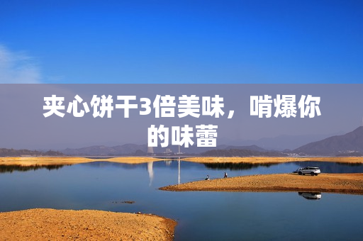 夹心饼干3倍美味，啃爆你的味蕾