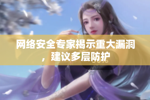 网络安全专家揭示重大漏洞，建议多层防护