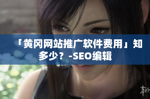 「黄冈网站推广软件费用」知多少？-SEO编辑