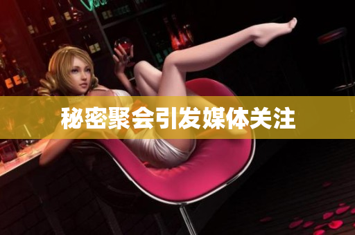 秘密聚会引发媒体关注