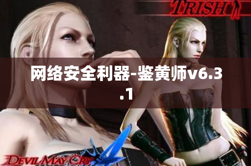 网络安全利器-鉴黄师v6.3.1
