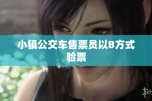 小镇公交车售票员以B方式验票